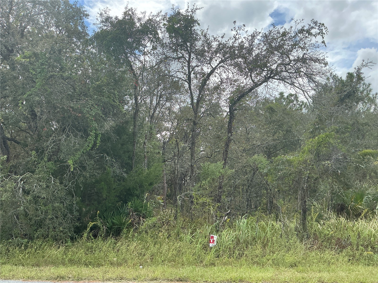 11434 Poorwill Avenue Brooksville FL 34614 OM715688 image1