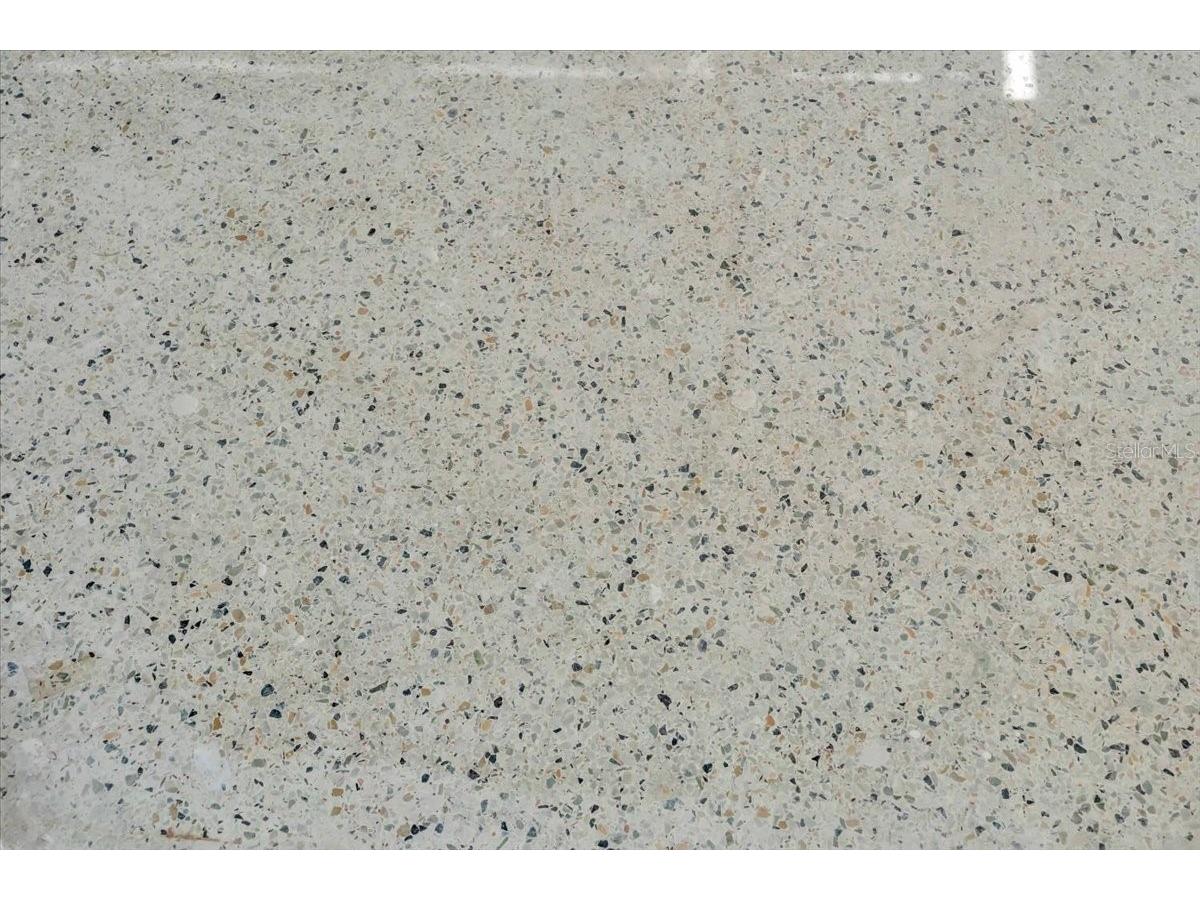 11435 2nd Street E Treasure Island FL 33706 TB8337129 image19