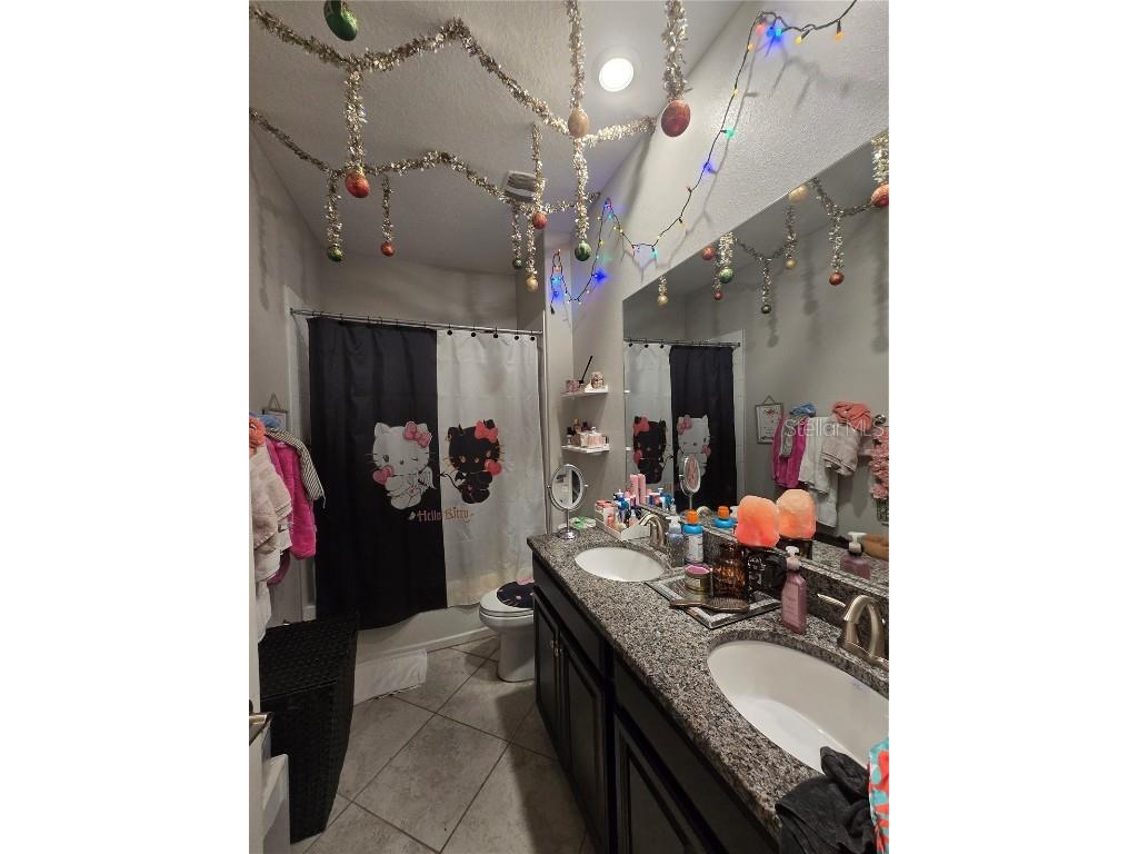 11436 Chilly Water Court Riverview FL 33569 TB8442918 image10