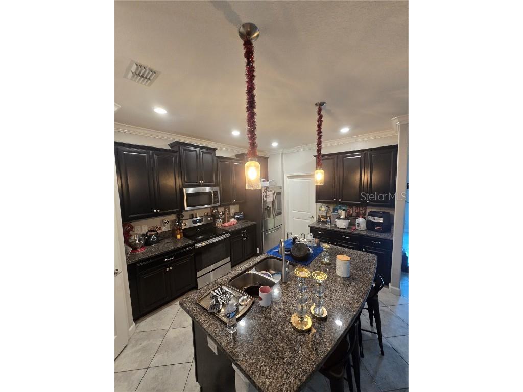 11436 Chilly Water Court Riverview FL 33569 TB8442918 image7