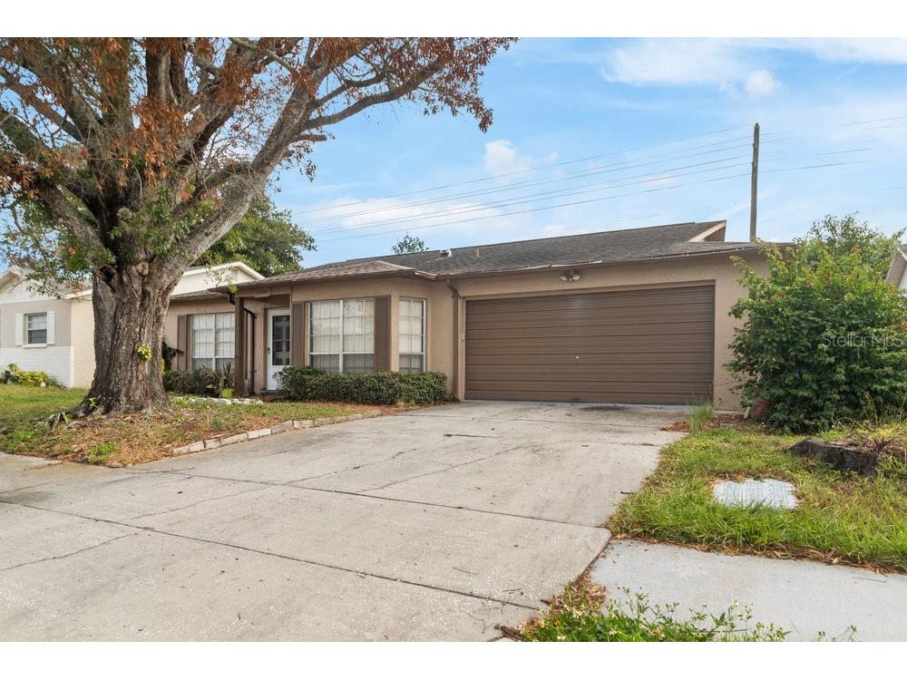 11436 Fox Run Port Richey FL 34668 TB8443657 image1