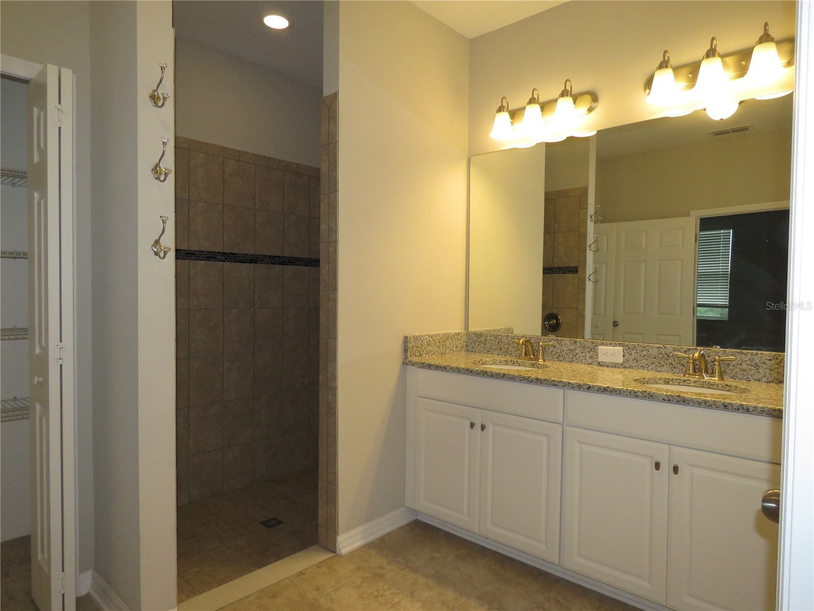 11437 Amapola Bloom Court Riverview FL 33579 TB8498367 image8