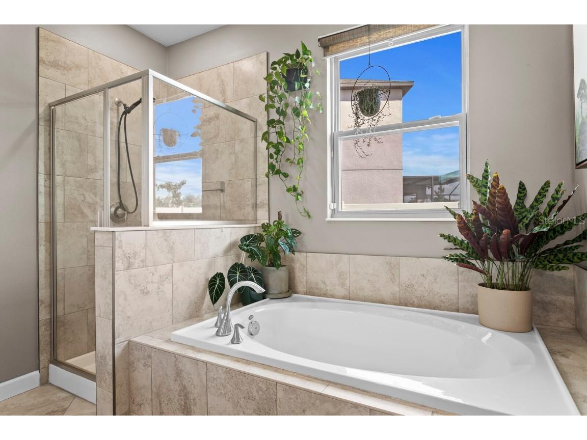 11437 Chilly Water Court Riverview FL 33569 TB8447982 image25