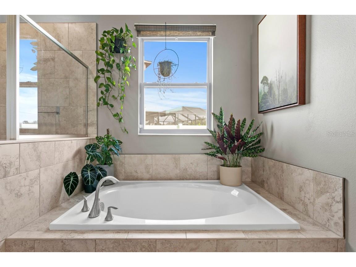 11437 Chilly Water Court Riverview FL 33569 TB8447982 image26