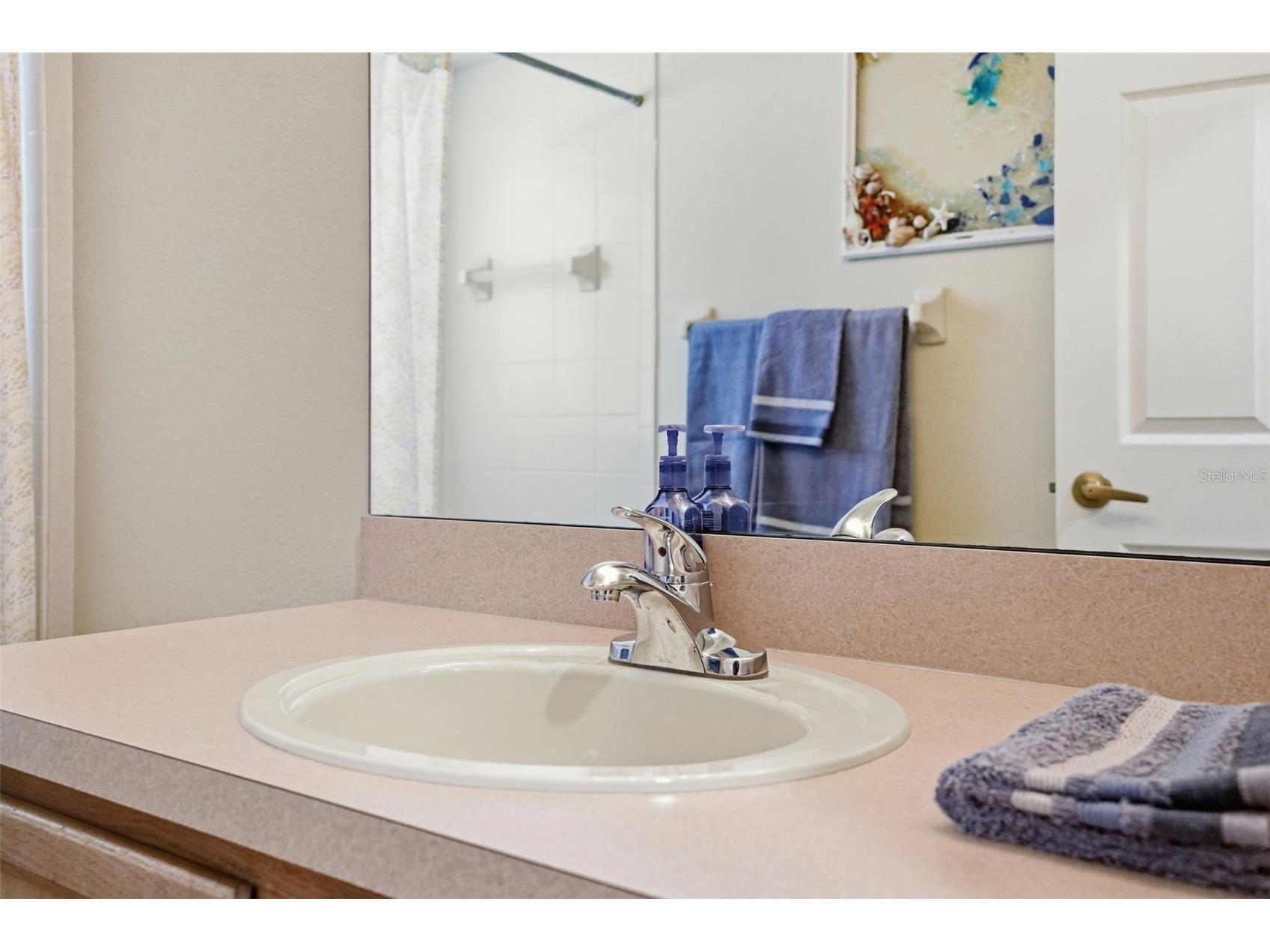 11437 Deercroft Court Spring Hill FL 34609 W7884835 image28