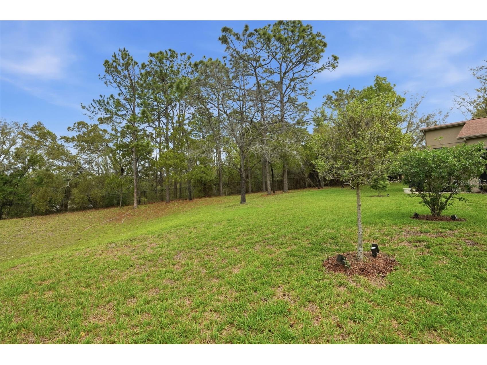 11437 Deercroft Court Spring Hill FL 34609 W7884835 image36