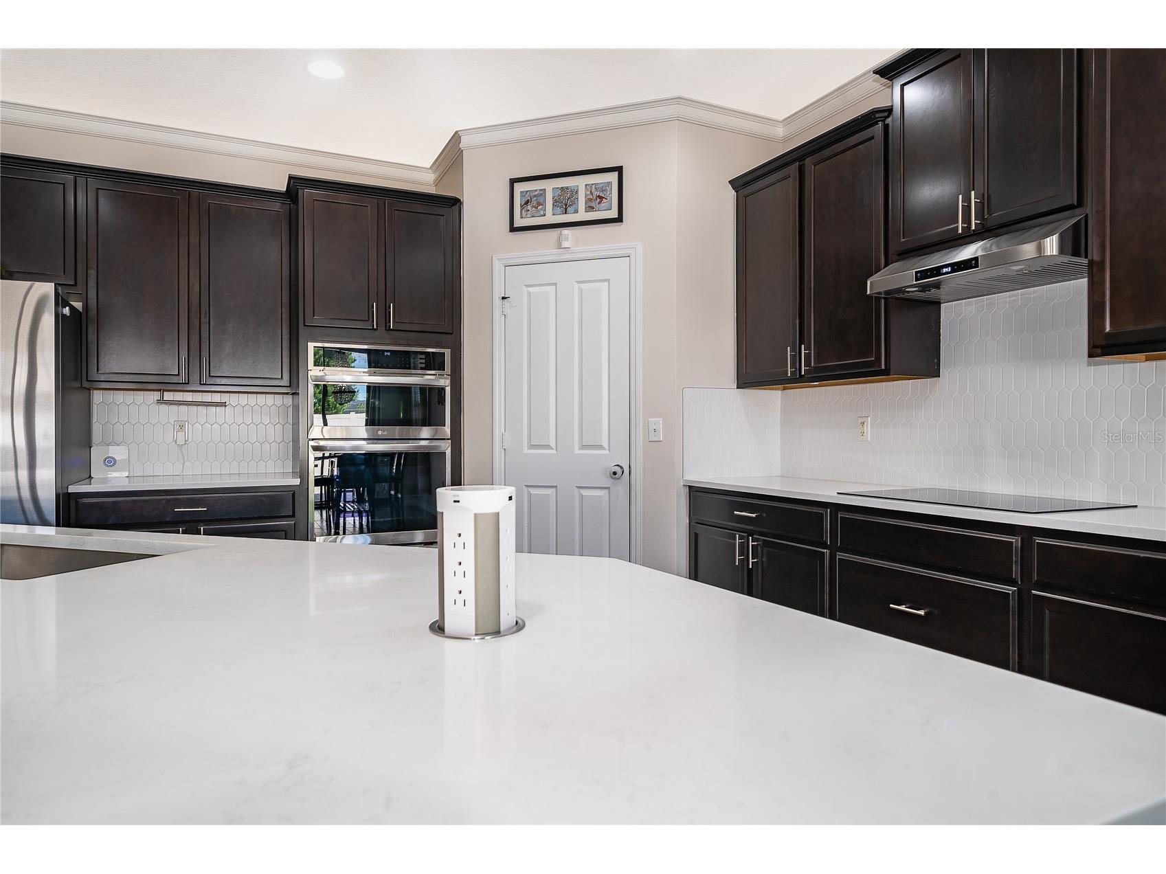 11437 Wakeworth Street Orlando FL 32836 O6410775 image14