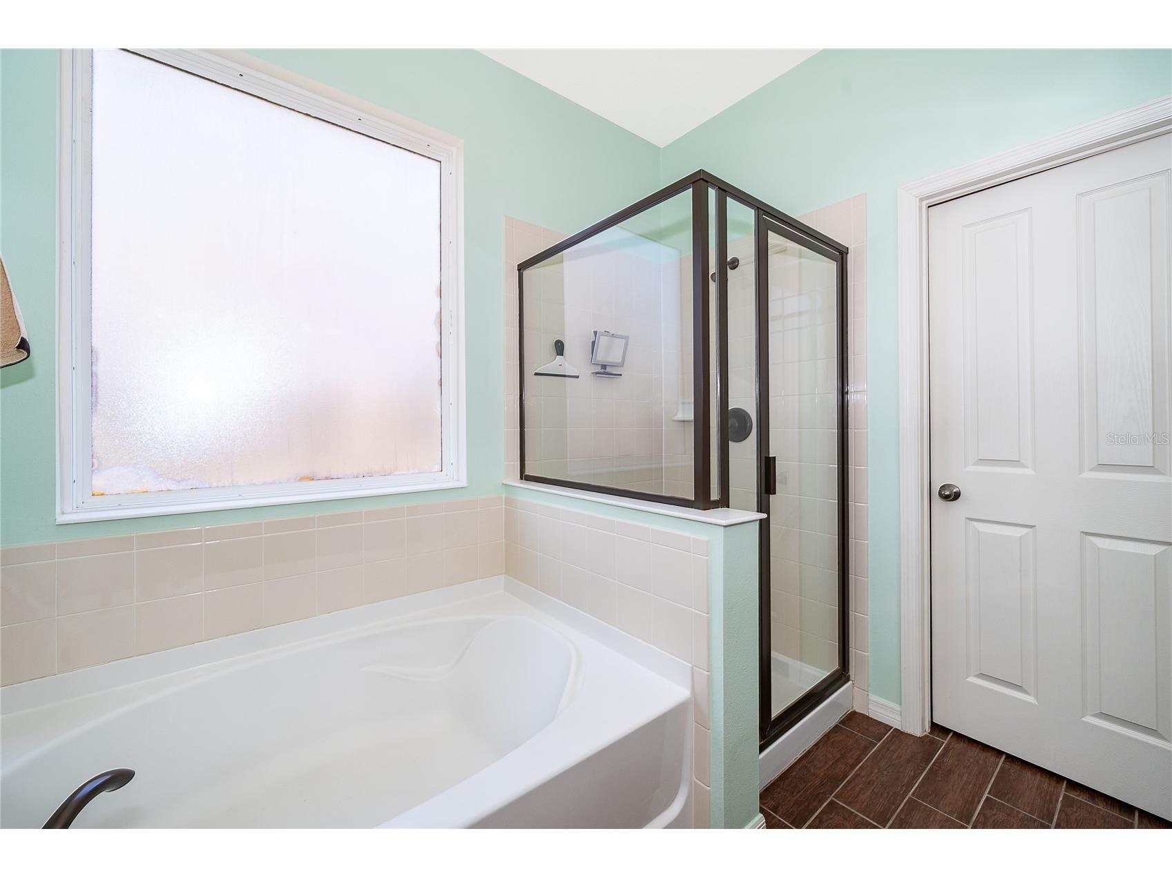 11437 Wakeworth Street Orlando FL 32836 O6410775 image24