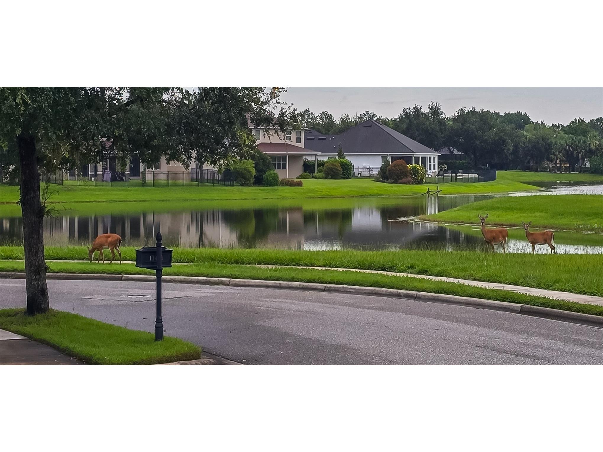 11437 Wakeworth Street Orlando FL 32836 O6410775 image5