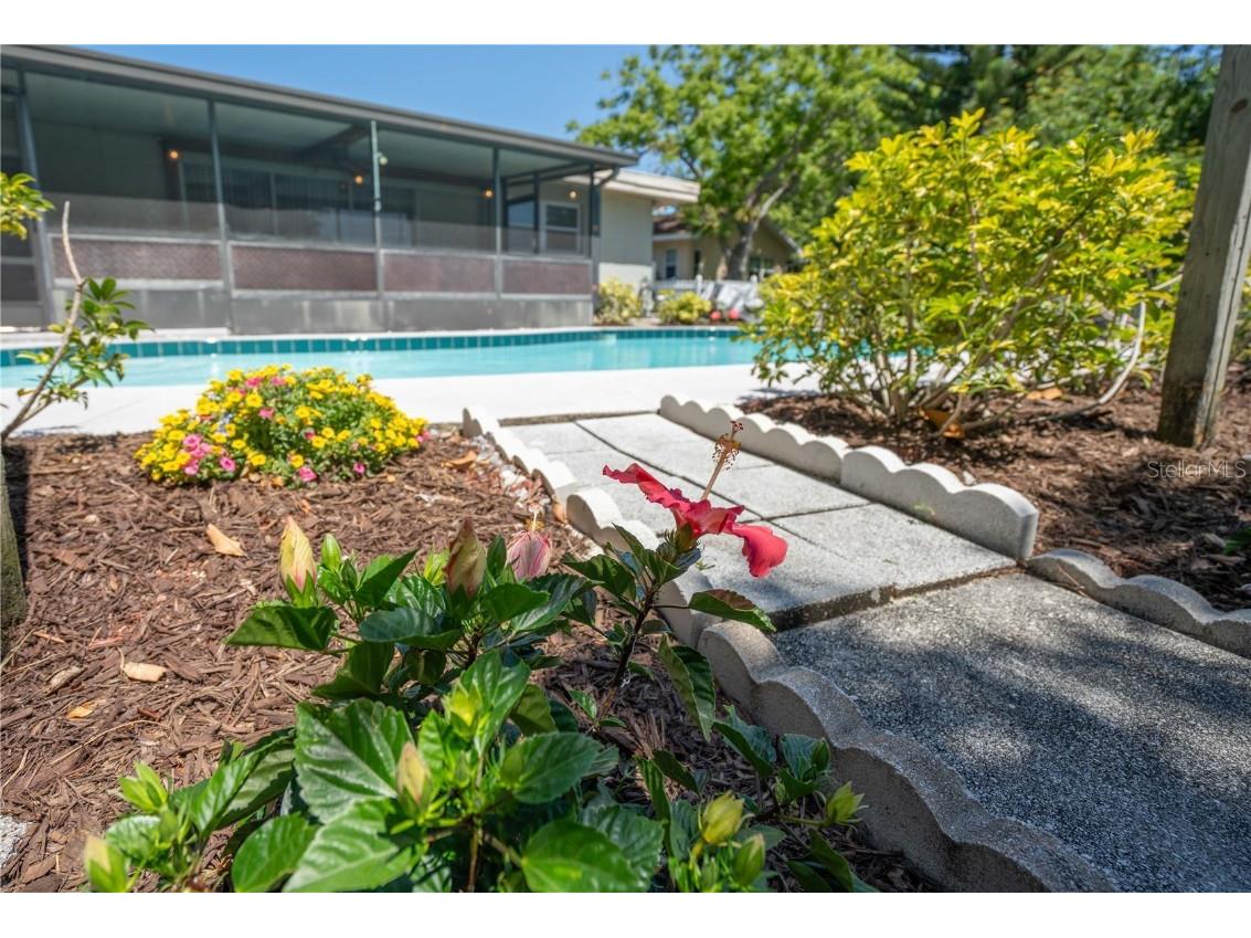 11438 126th Terrace Largo FL 33778 TB8450395 image40