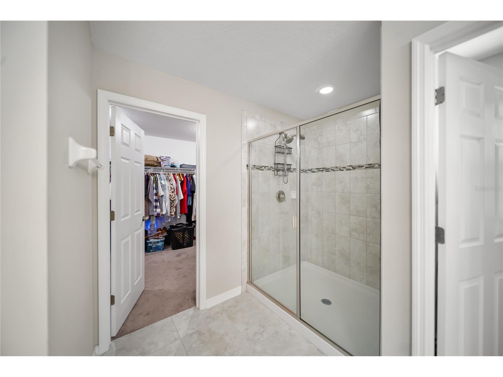 11438 Acacia Grove Lane Riverview FL 33579 A4699637 image28
