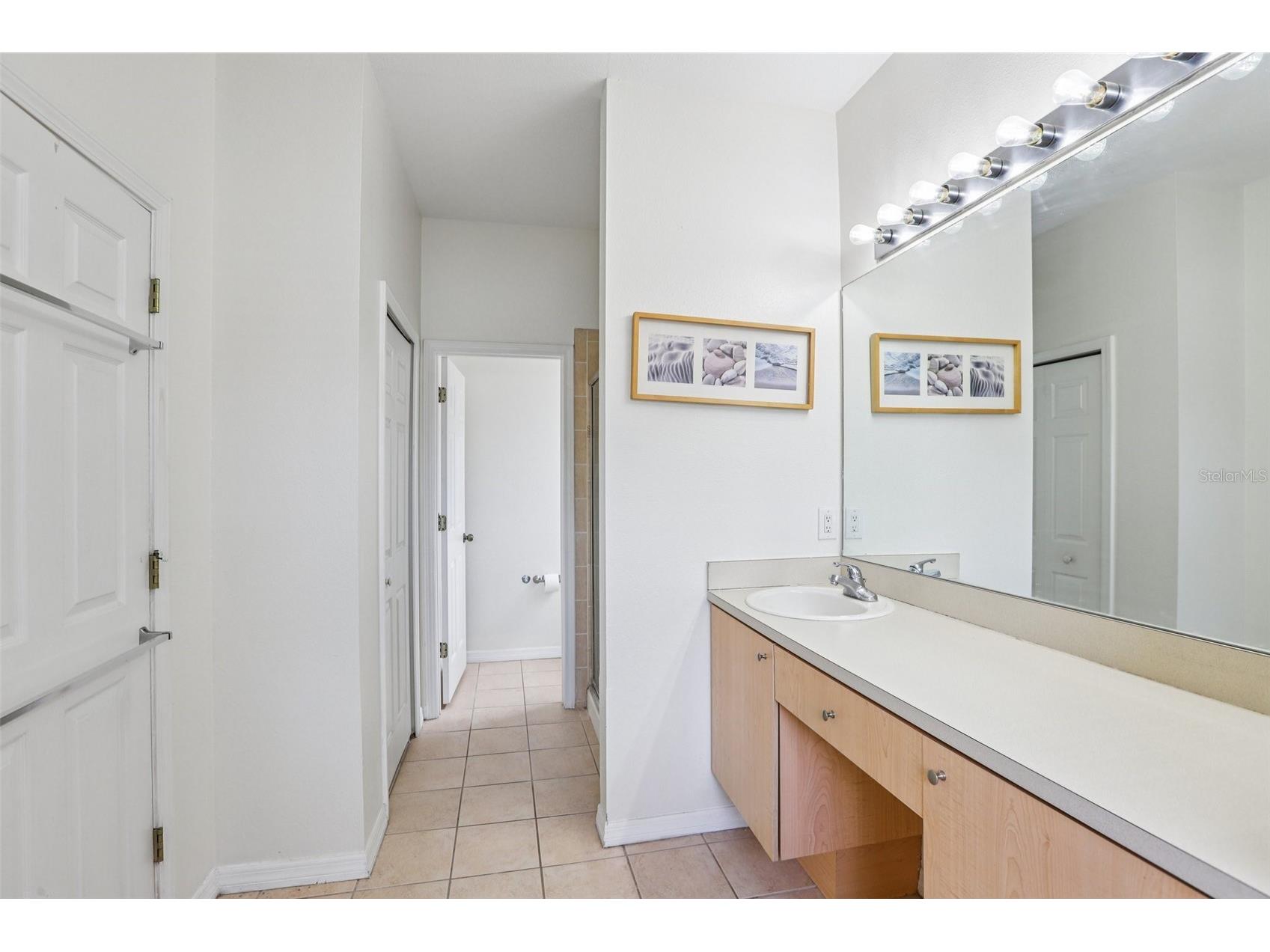 11438 Laurel Brook Court Riverview FL 33569 TB8484011 image17