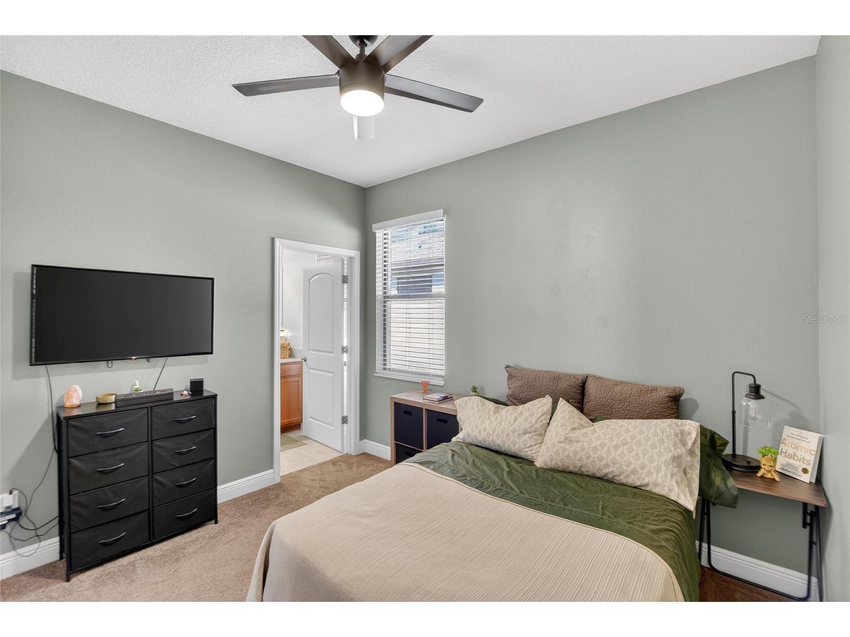 11439 Crowne Pointe Street New Port Richey FL 34654 TB8481108 image14