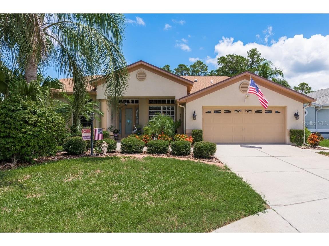 11439 Dorian Court New Port Richey FL 34654 T3536266 image1