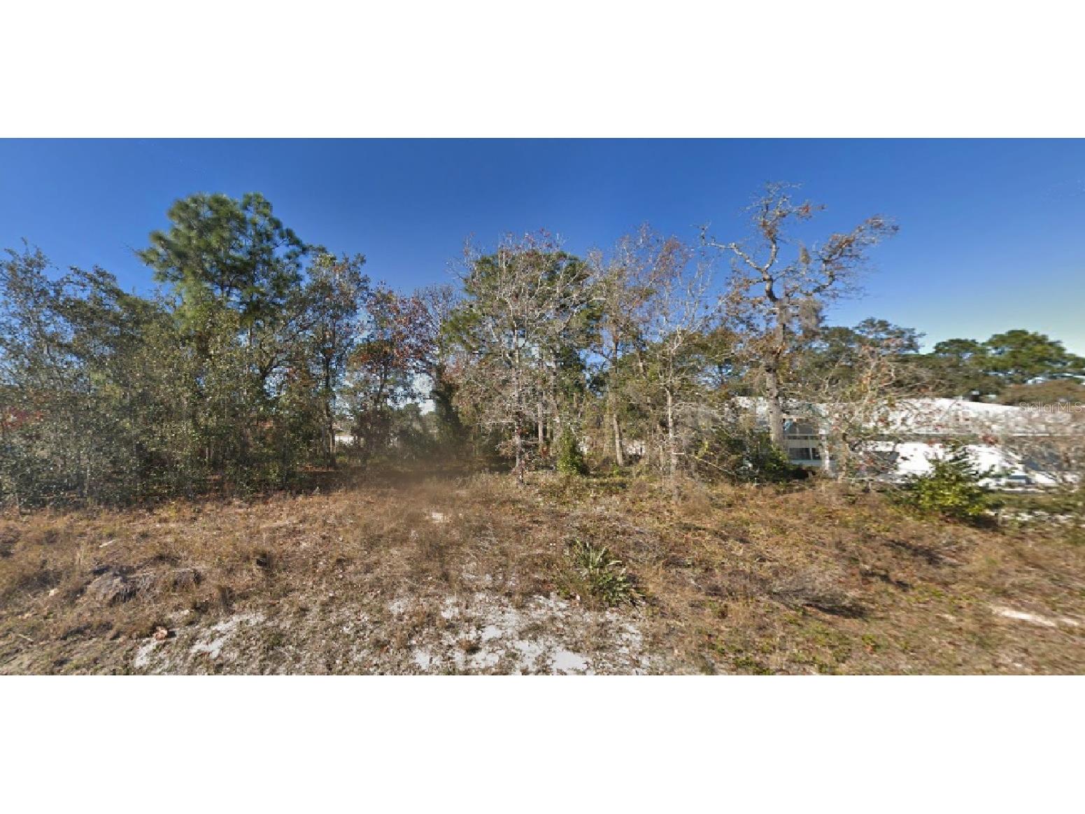 11439 Kerridale Avenue Spring Hill FL 34608 O6099025 image1