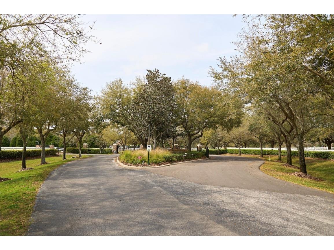 11439 Trotting Down Drive Odessa FL 33556 T3508860 image1