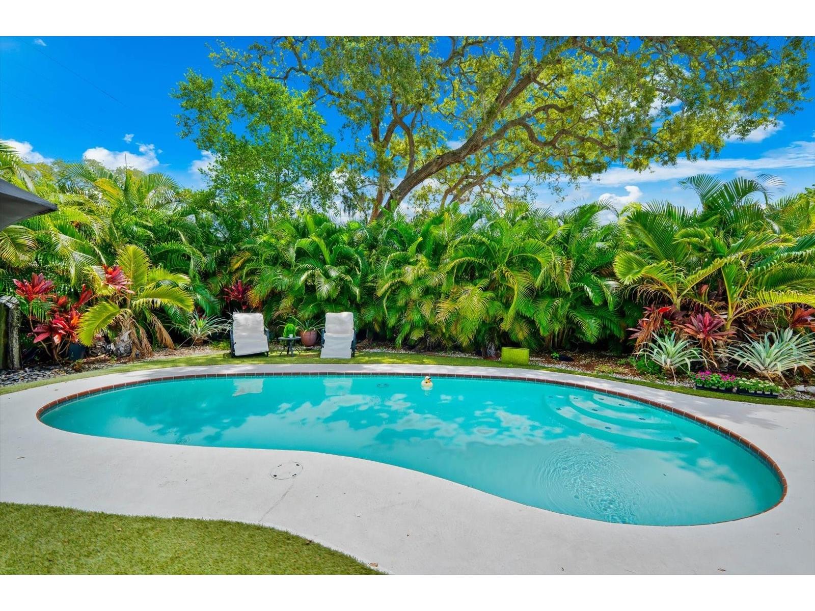 1144 Charles Street Clearwater FL 33755 - ST JOSEPH SOUND TB8513283 image48