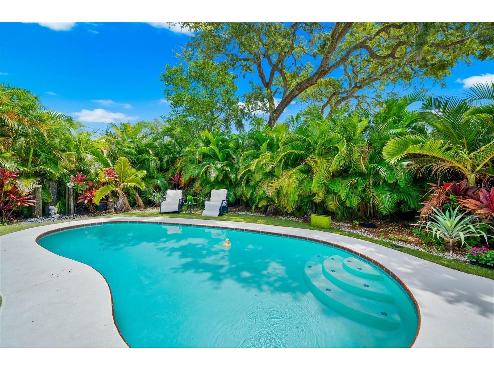 1144 Charles Street Clearwater FL 33755 - ST JOSEPH SOUND TB8513283 image56