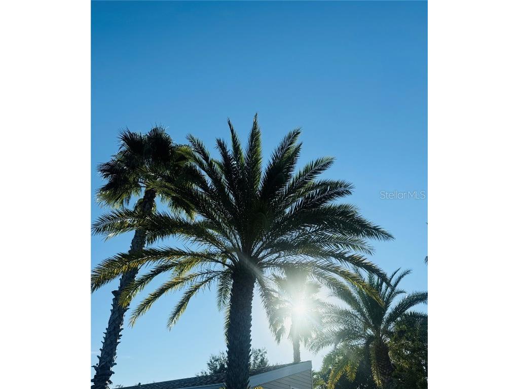 1144 Deer Creek Boulevard Davenport FL 33837 O6339770 image50