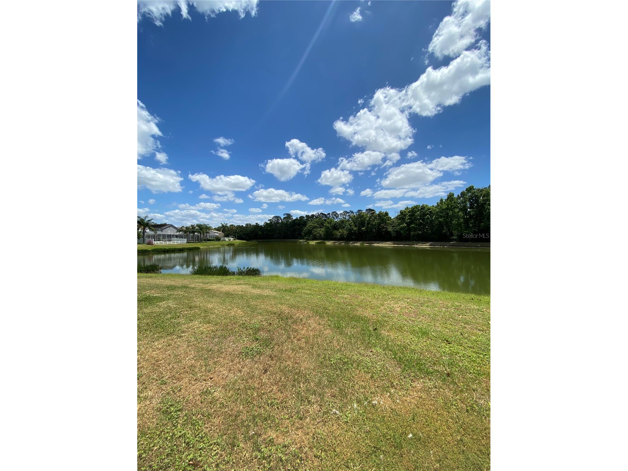 1144 Key West Ct Wesley Chapel FL 33544 TB8459821 image34