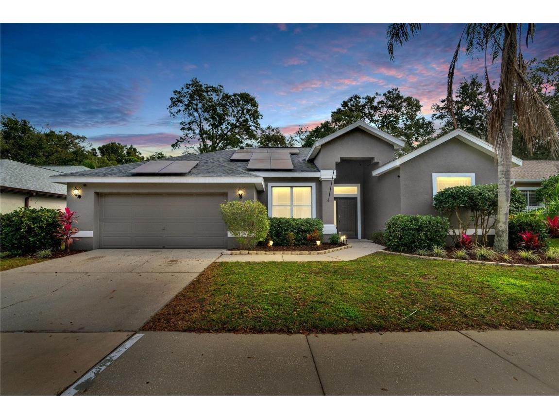 1144 Lumsden Trace Circle Valrico FL 33594 T3498349 image1