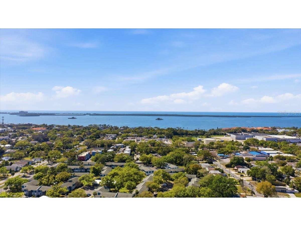 1144 New York Avenue Dunedin FL 34698 TB8485495 image26