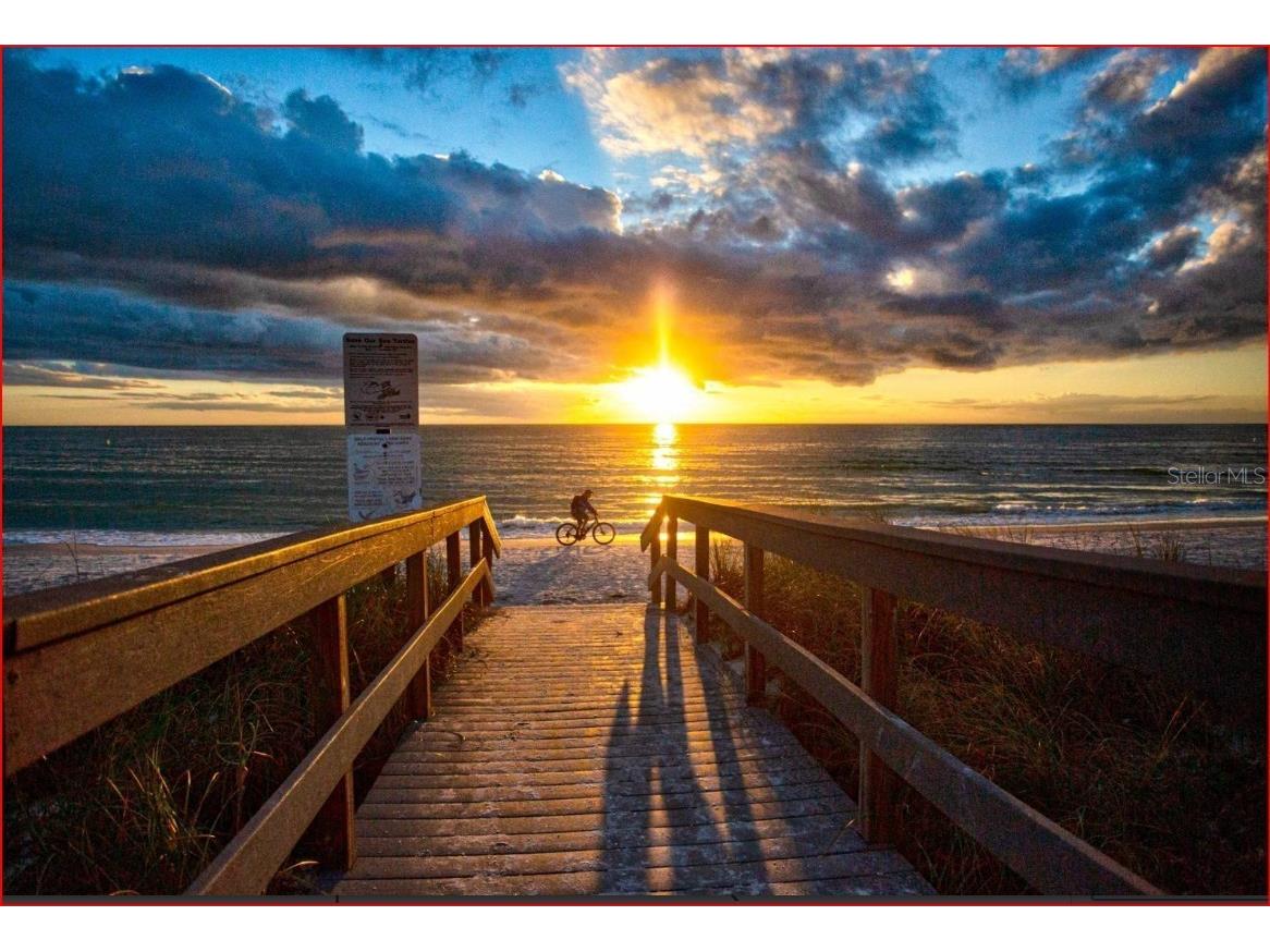 11440 1st Street E #6 Treasure Island FL 33706 TB8497919 image27