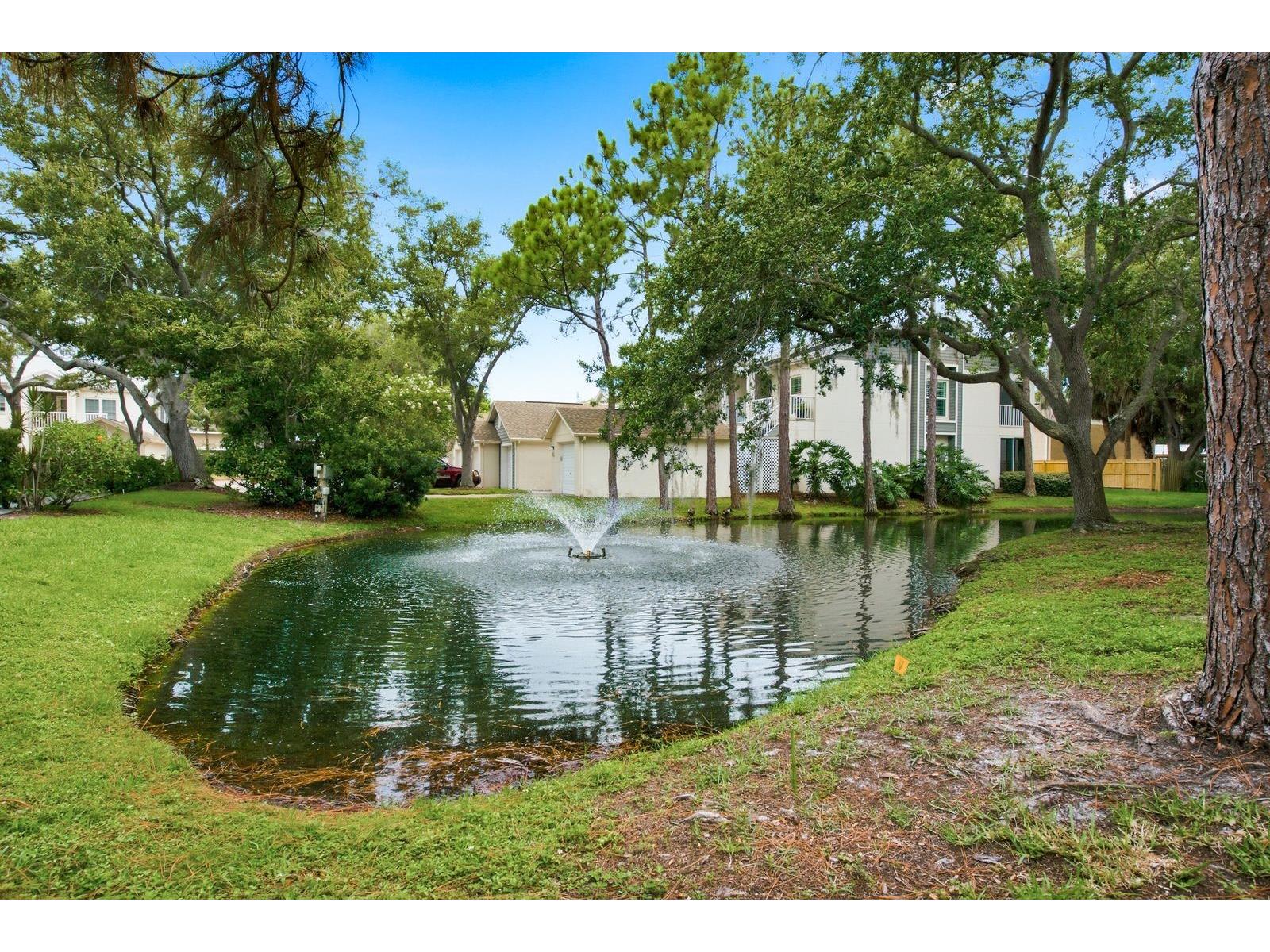 11440 Harbor Way #5013 Largo FL 33774 TB8527872 image32