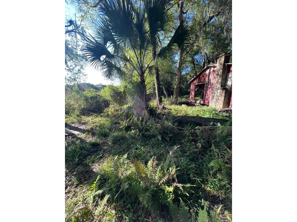 11440 SW 42nd Terrace Webster FL 33597 G5066582 image1