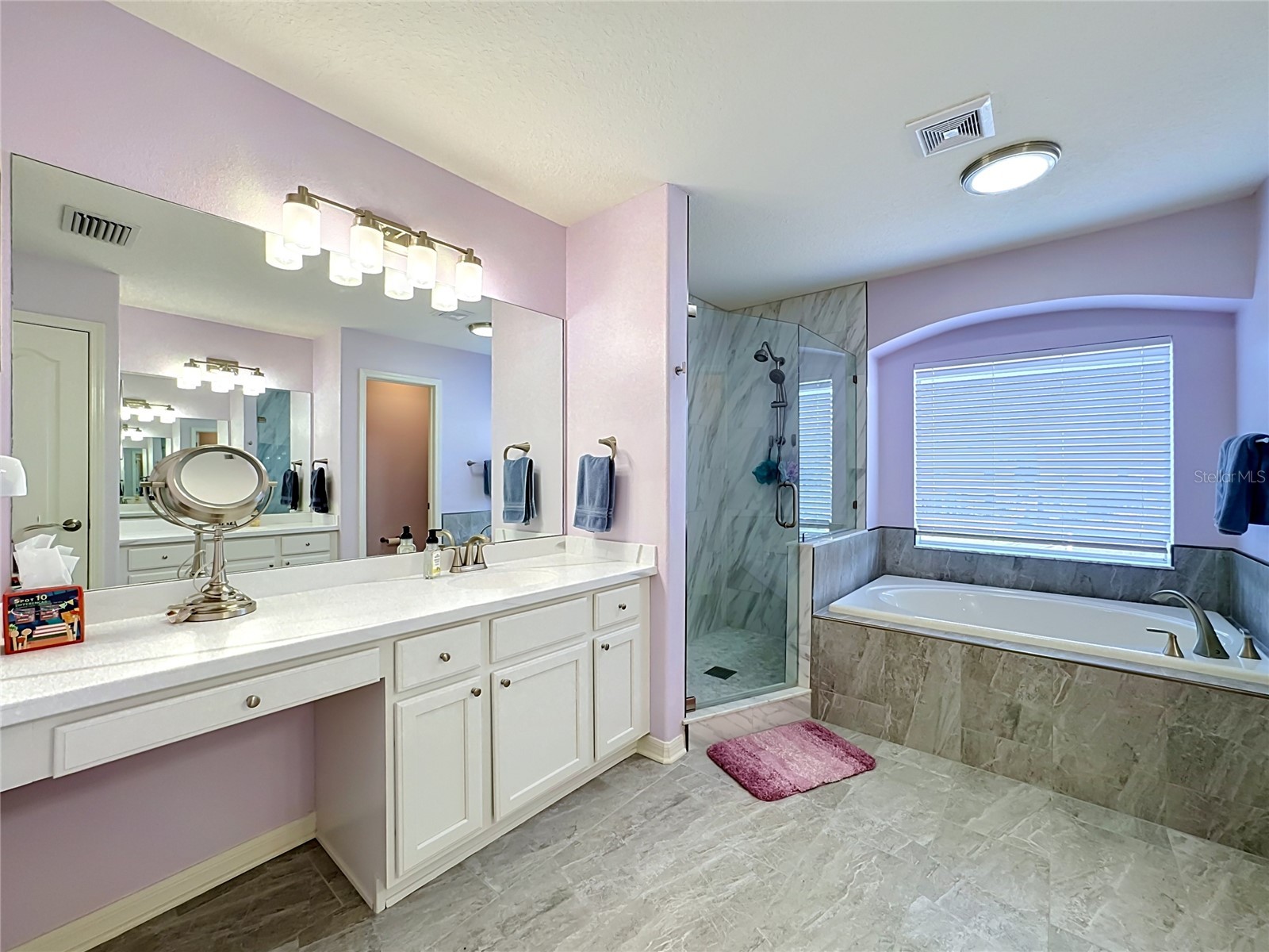 11441 Dutch Iris Drive Riverview FL 33578 TB8526844 image18
