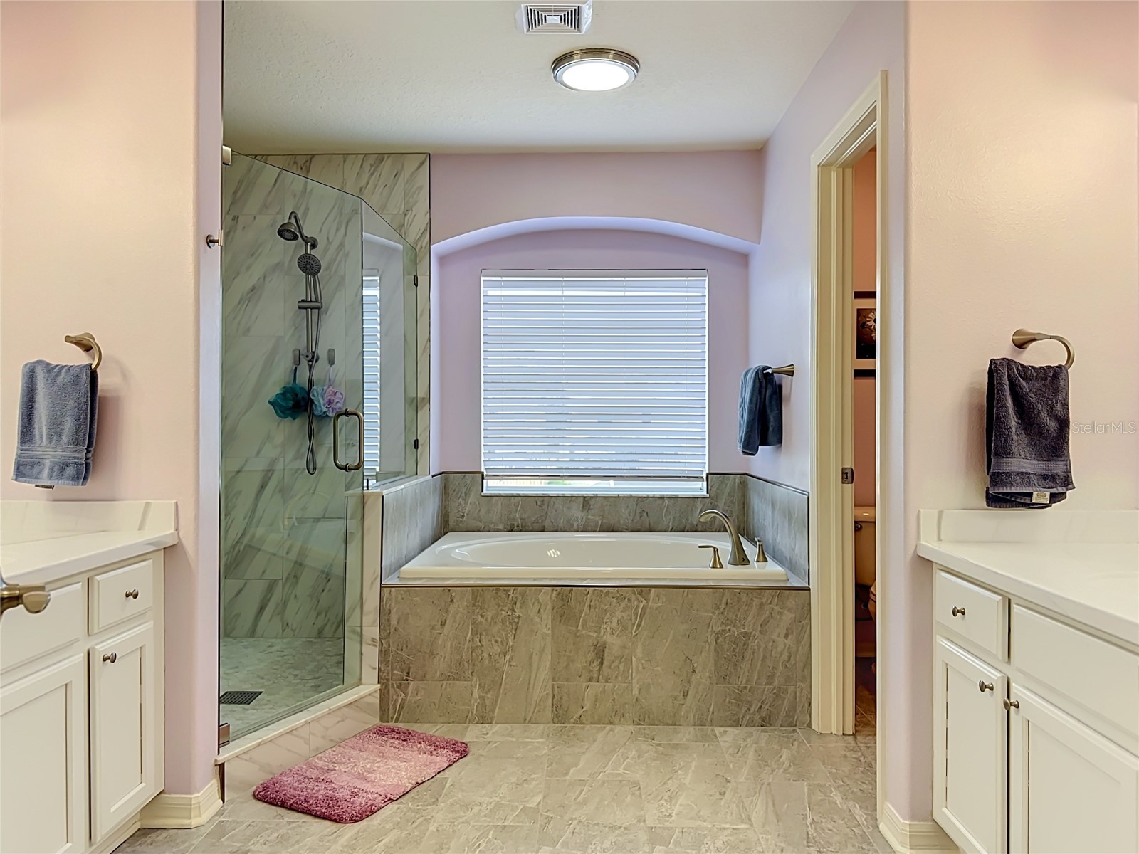 11441 Dutch Iris Drive Riverview FL 33578 TB8526844 image19