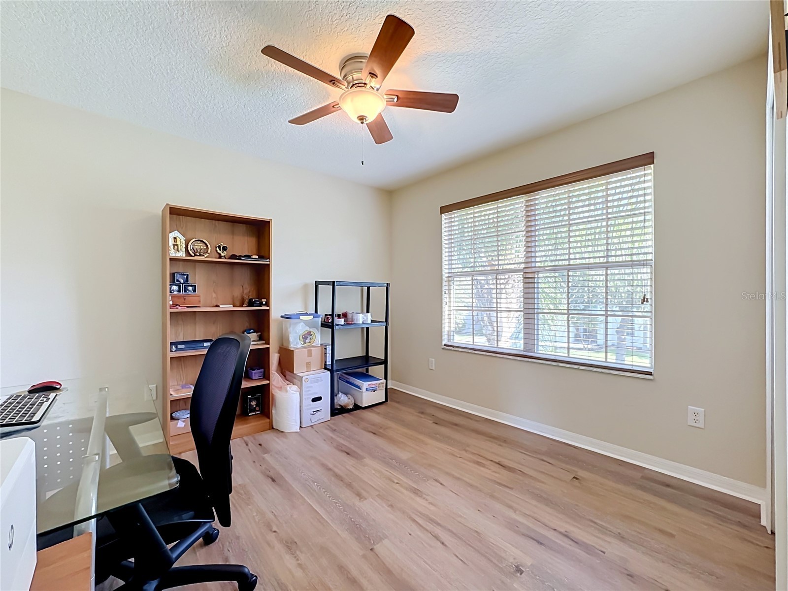 11441 Dutch Iris Drive Riverview FL 33578 TB8526844 image21
