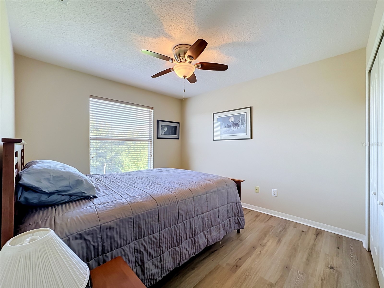 11441 Dutch Iris Drive Riverview FL 33578 TB8526844 image23