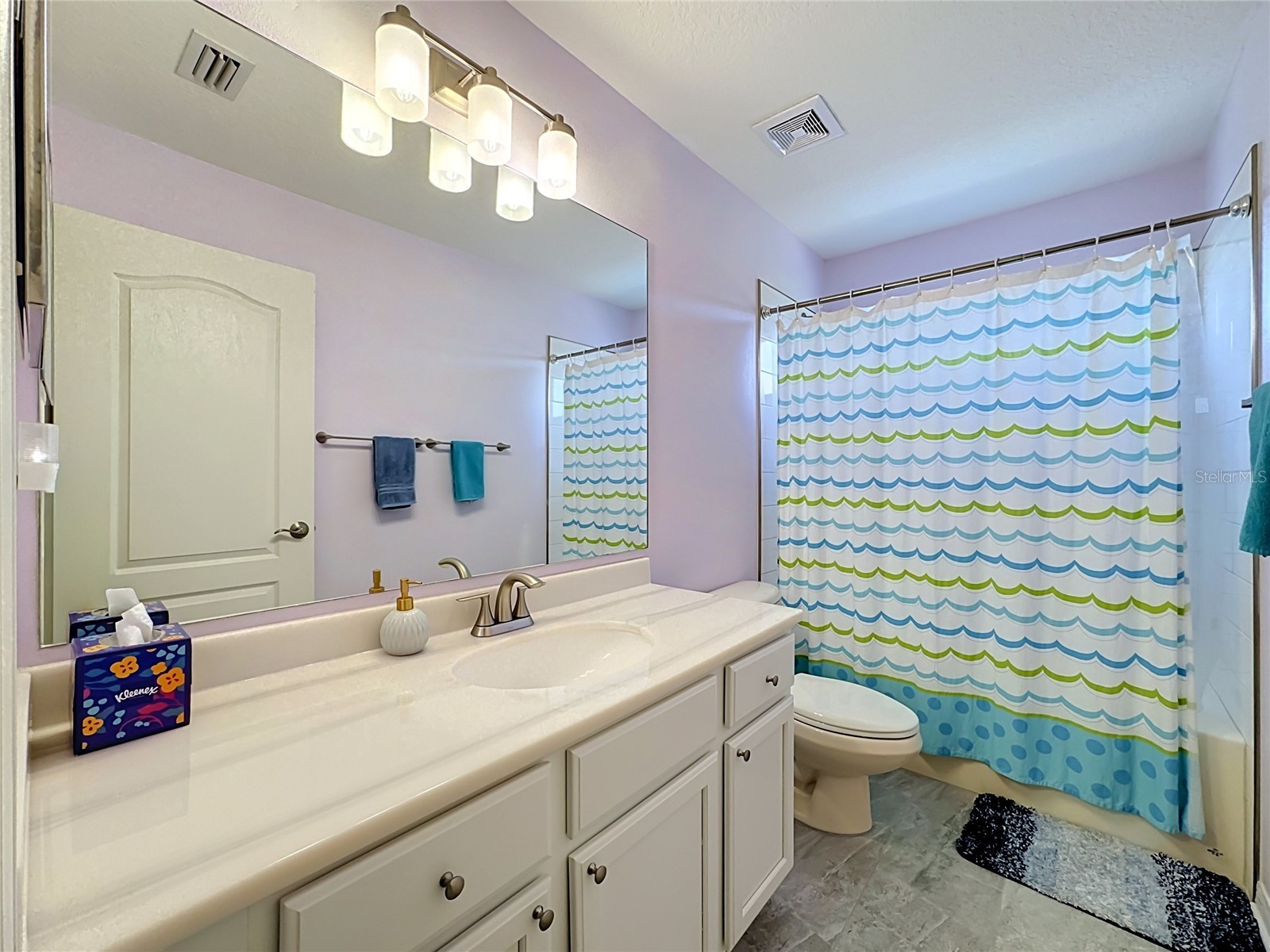 11441 Dutch Iris Drive Riverview FL 33578 TB8526844 image24