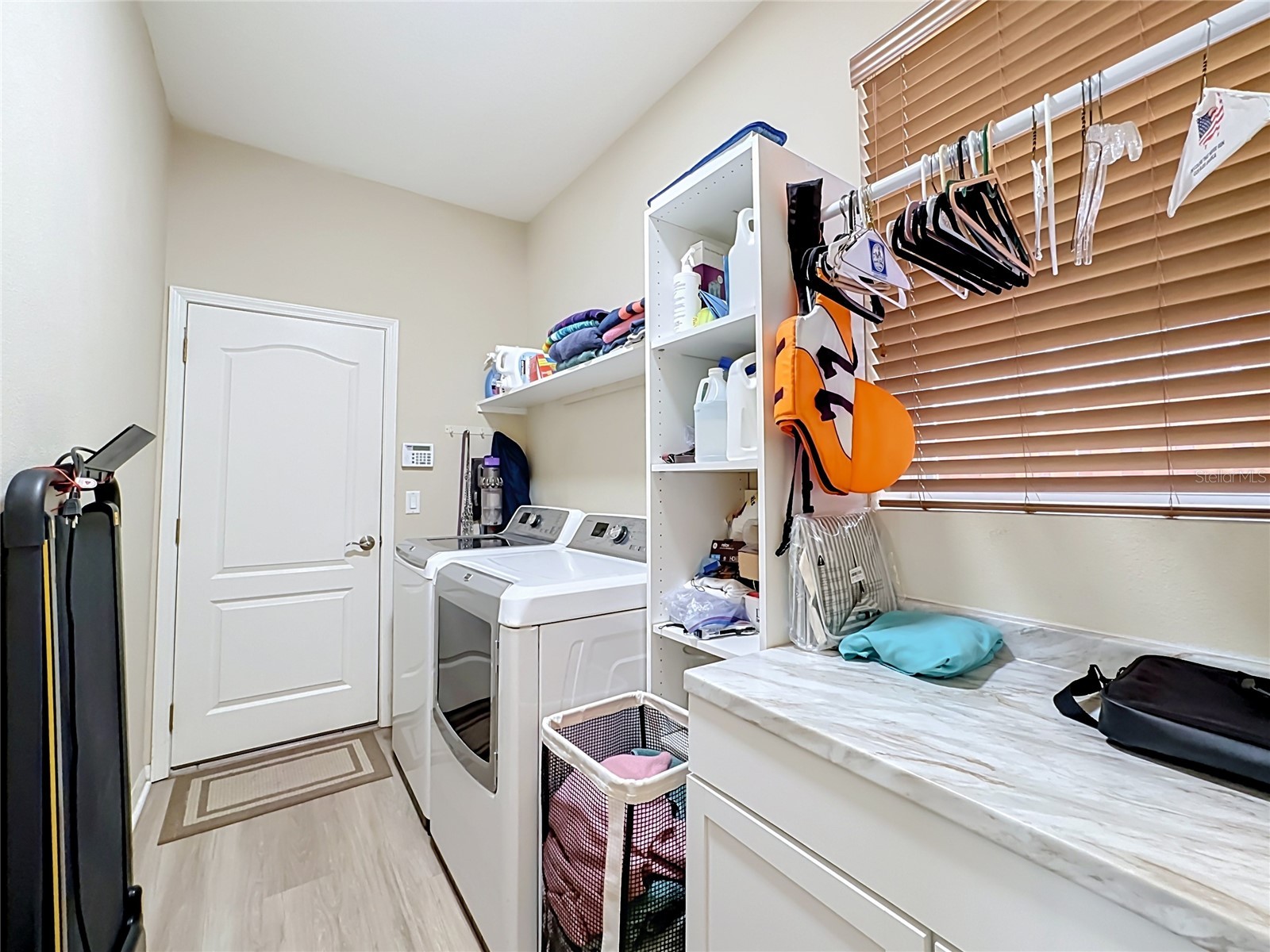 11441 Dutch Iris Drive Riverview FL 33578 TB8526844 image26