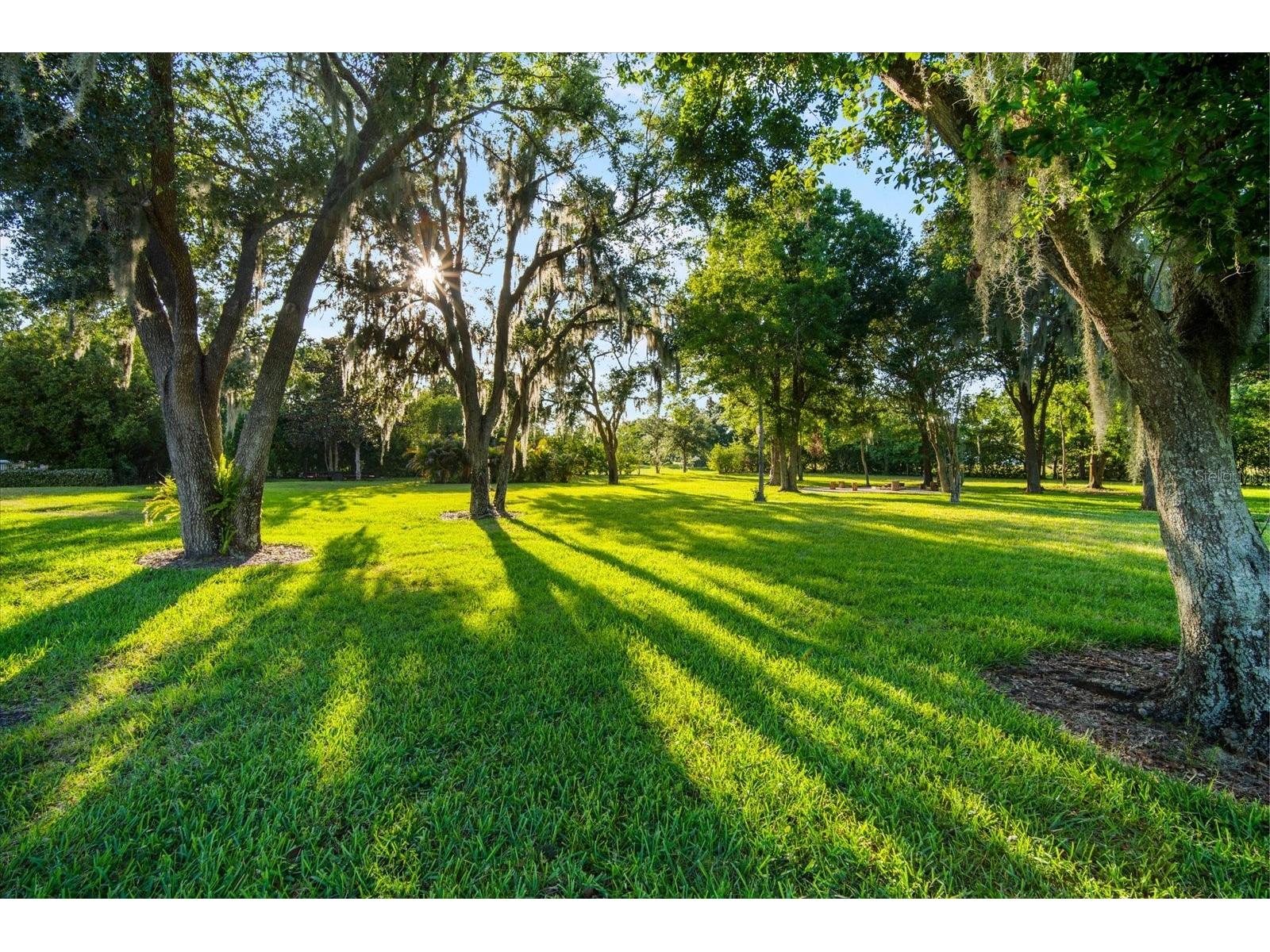 11441 Hammock Oaks Court Lithia FL 33547 TB8479132 image13