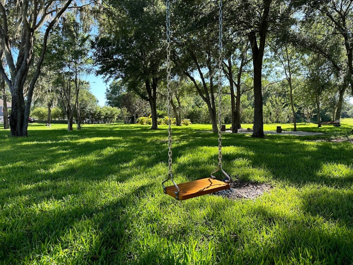 11441 Hammock Oaks Court Lithia FL 33547 TB8479132 image14