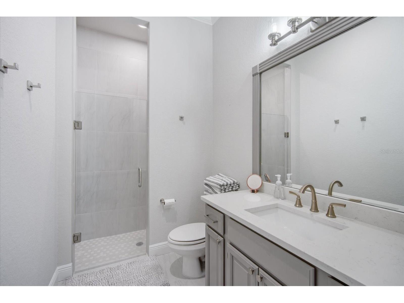 11441 Hammock Oaks Court Lithia FL 33547 TB8479132 image39
