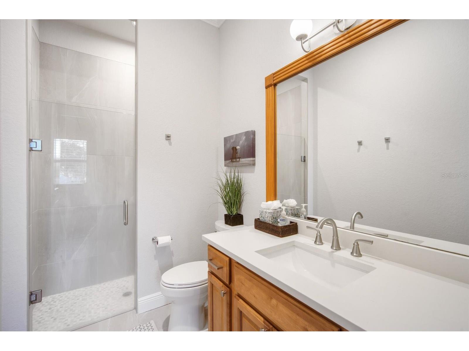 11441 Hammock Oaks Court Lithia FL 33547 TB8479132 image41