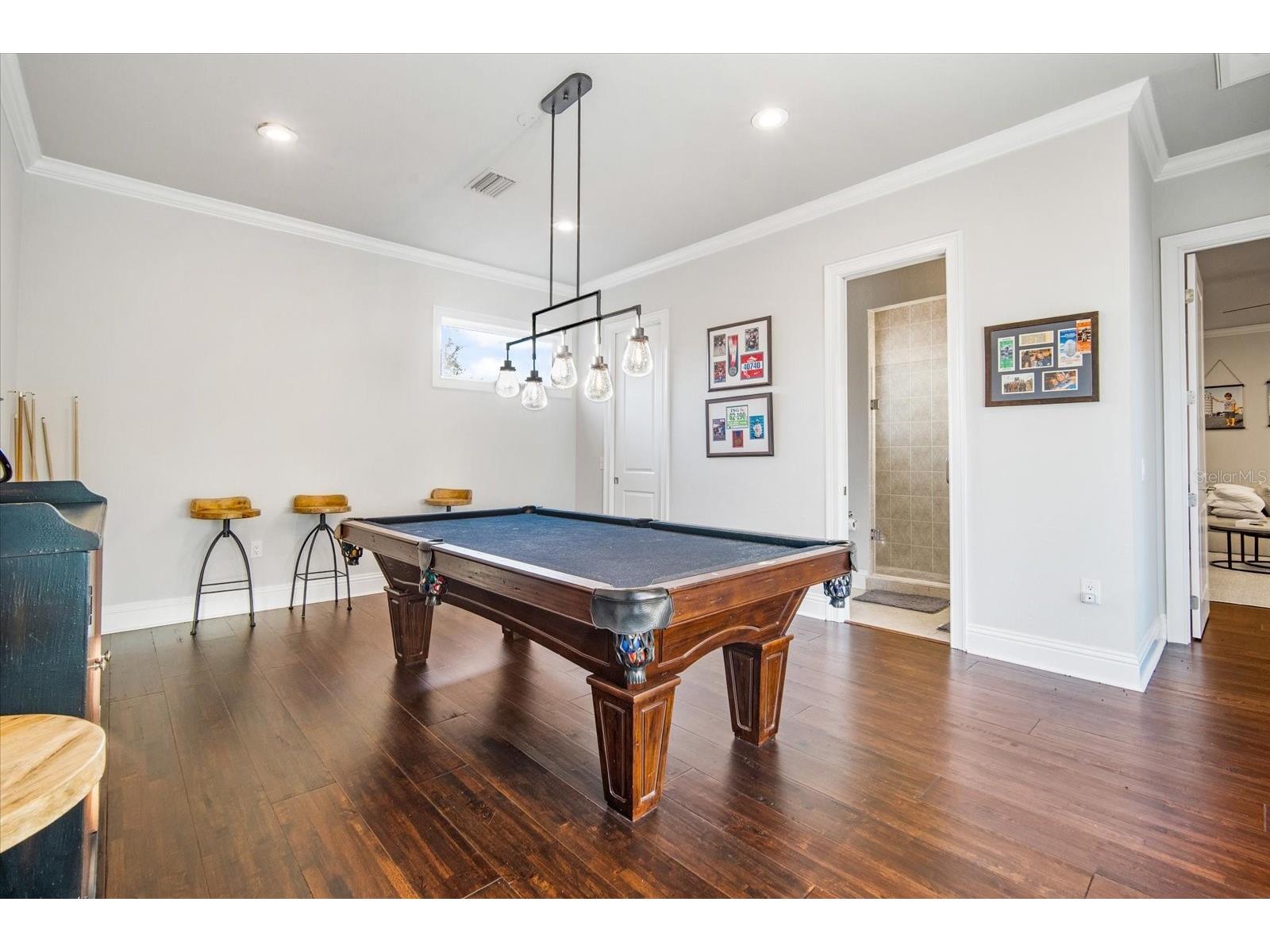 11441 Hammock Oaks Court Lithia FL 33547 TB8479132 image45