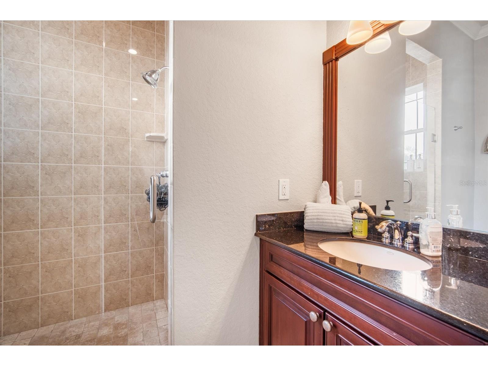 11441 Hammock Oaks Court Lithia FL 33547 TB8479132 image46
