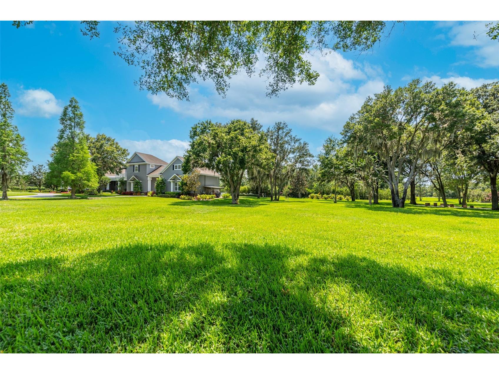 11441 Hammock Oaks Court Lithia FL 33547 TB8479132 image63