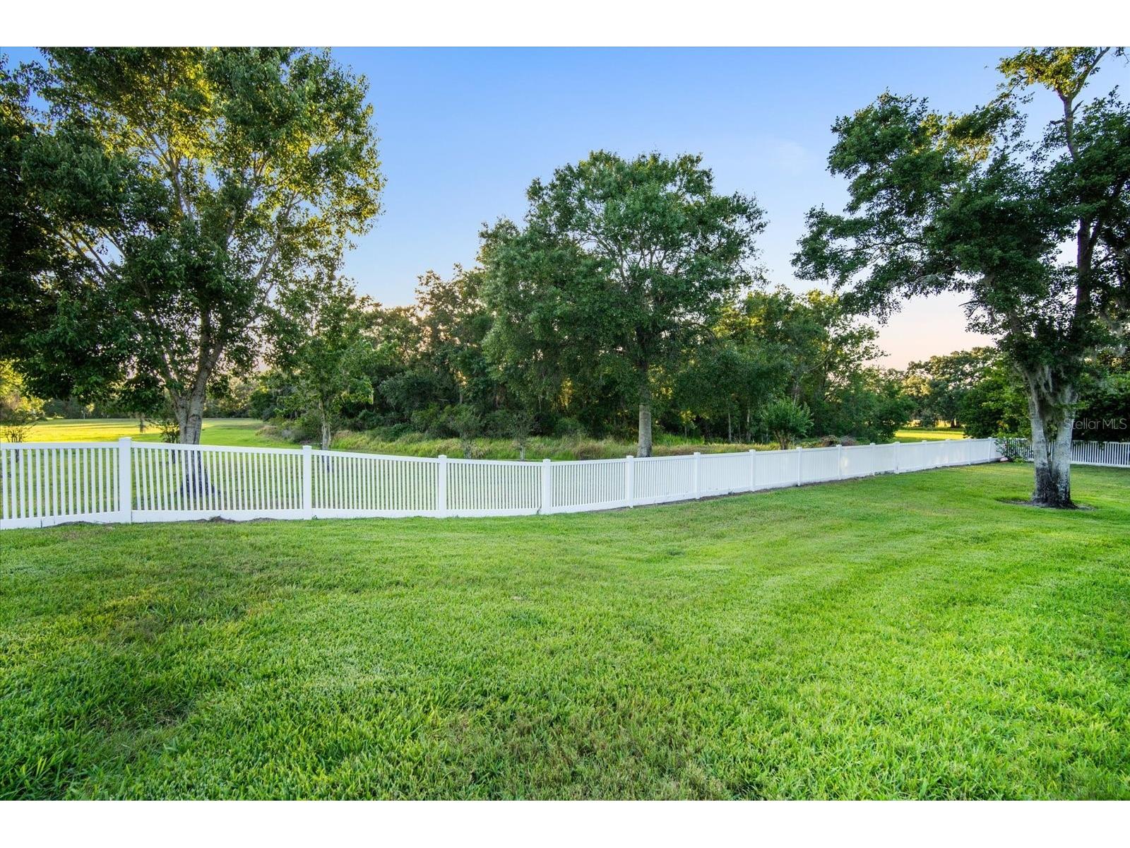 11441 Hammock Oaks Court Lithia FL 33547 TB8479132 image64