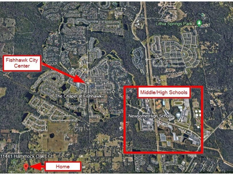 11441 Hammock Oaks Court Lithia FL 33547 TB8479132 image69