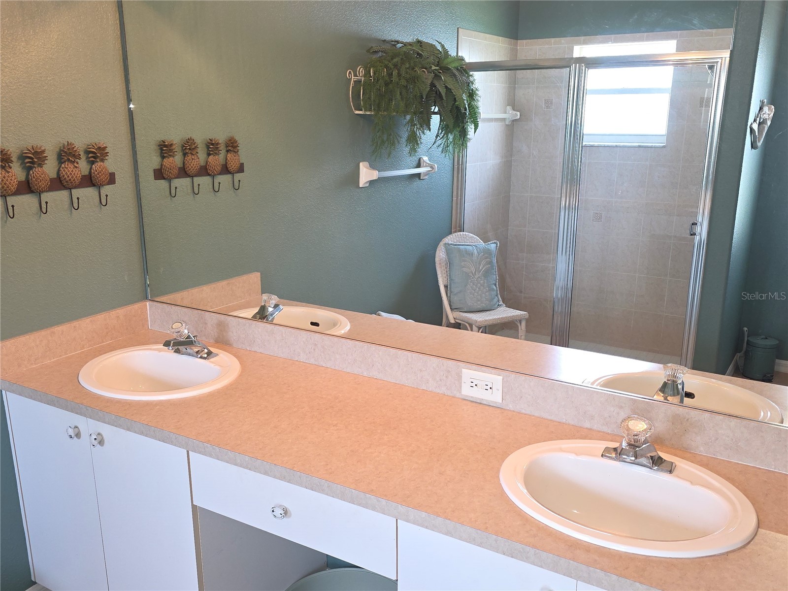 11442 Turtle Dove Place New Port Richey FL 34654 W7884266 image16