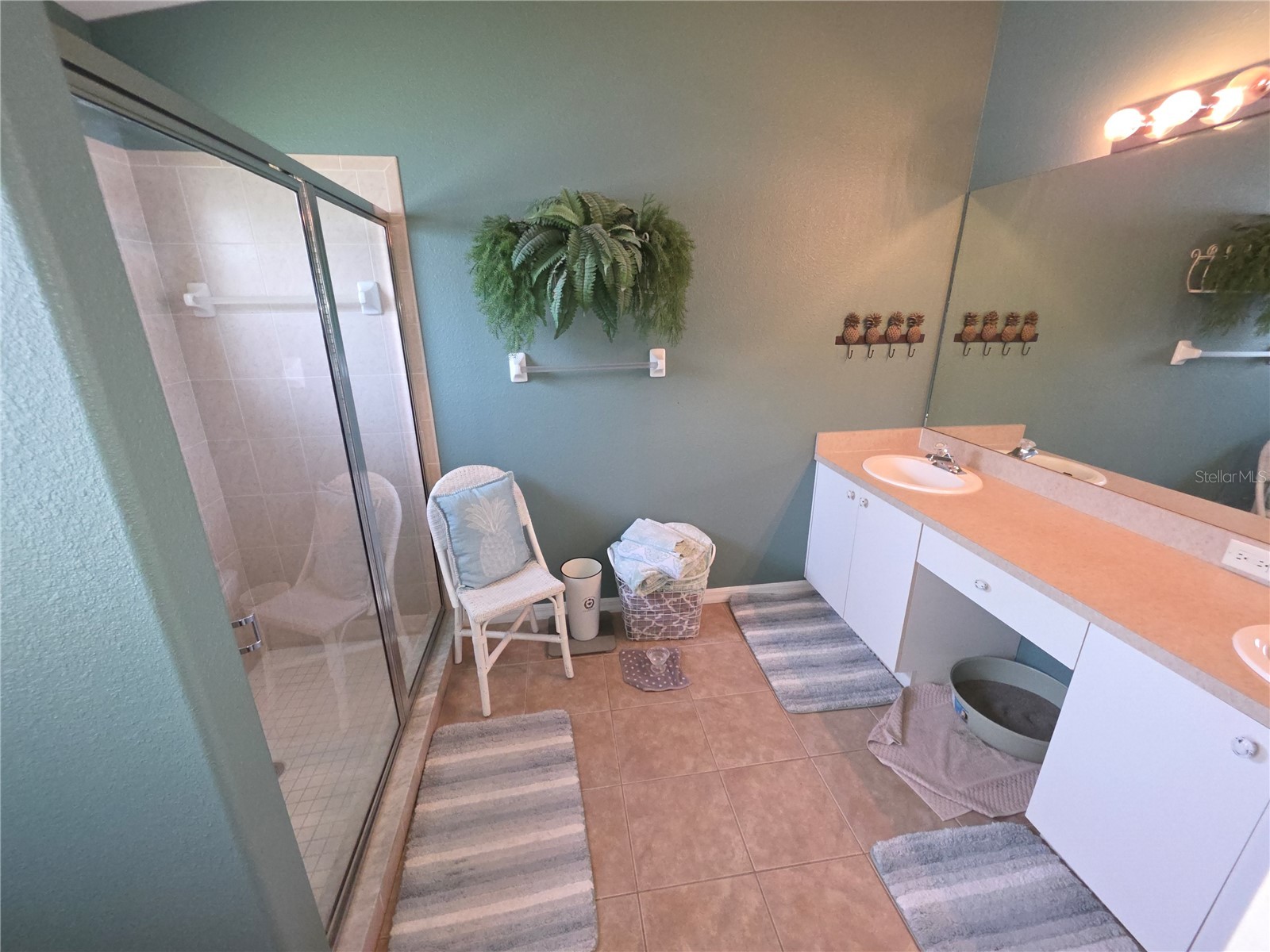 11442 Turtle Dove Place New Port Richey FL 34654 W7884266 image17