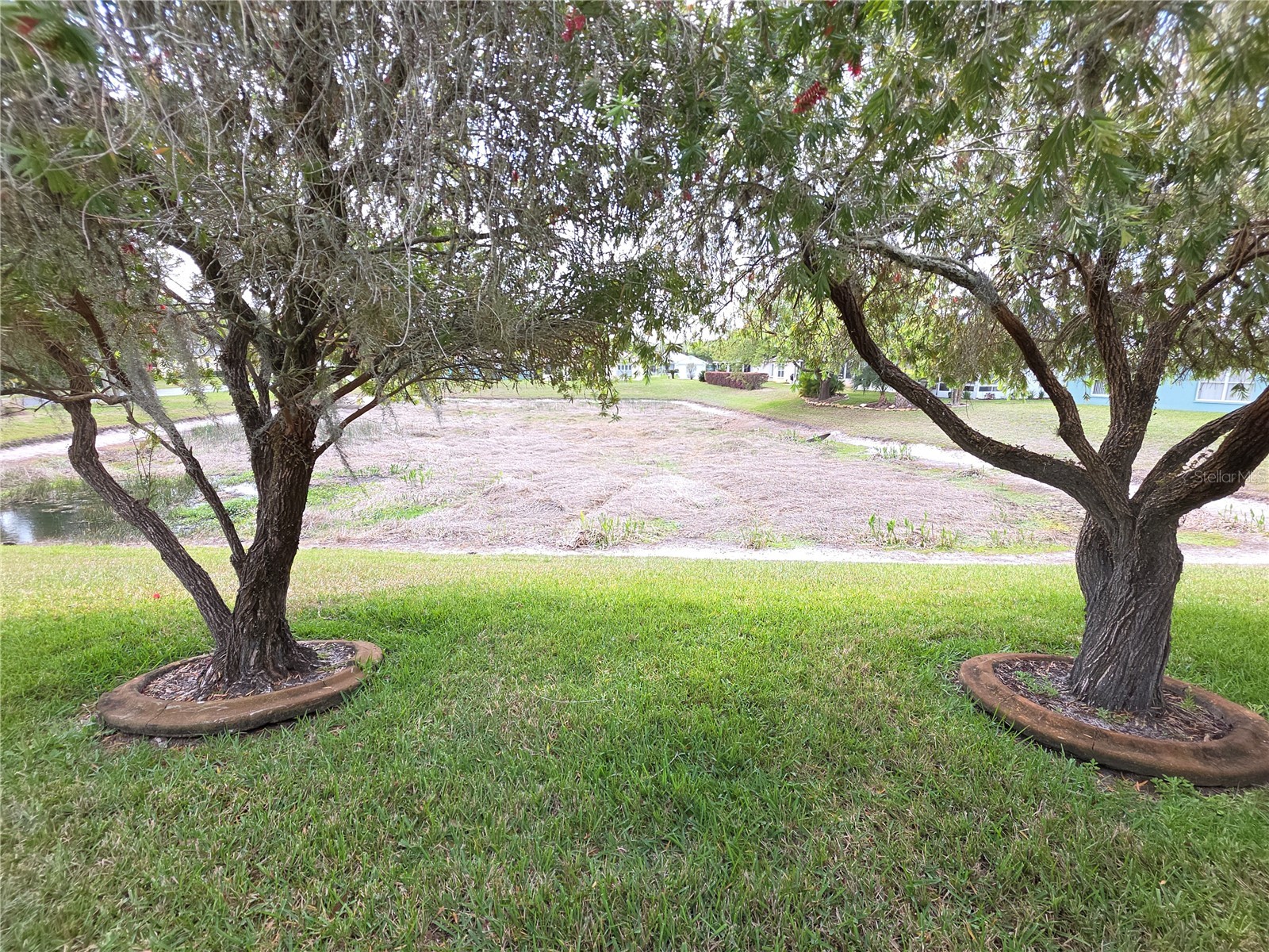 11442 Turtle Dove Place New Port Richey FL 34654 W7884266 image22
