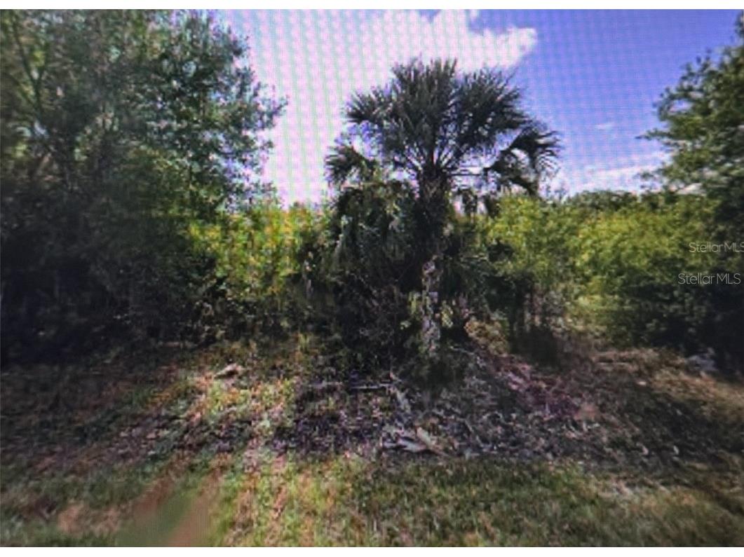 11443 3rd Avenue Punta Gorda FL 33955 D6142772 image1