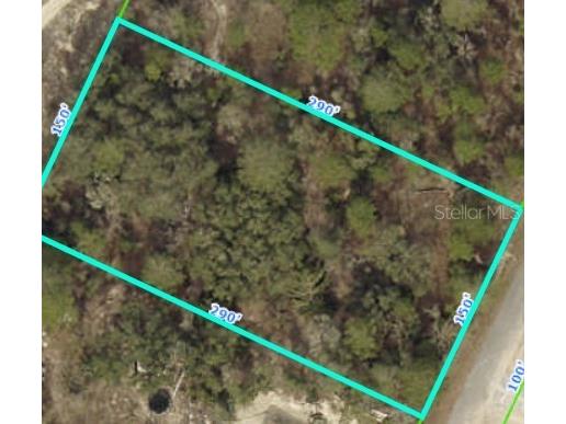 11443 Mahopac Road Weeki Wachee FL 34614 T3505671 image1