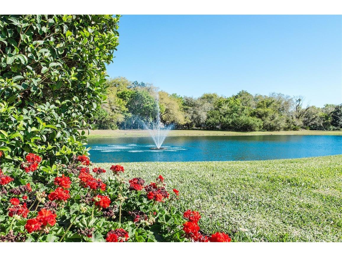 11443 Savannah Lakes Drive Parrish FL 34219 - MANATEE RIVER A4675406 image72